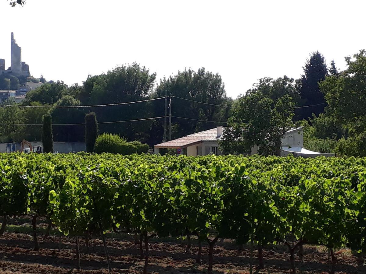La Petite Maison Dans Les Vignes Chamaret Exteriér fotografie
