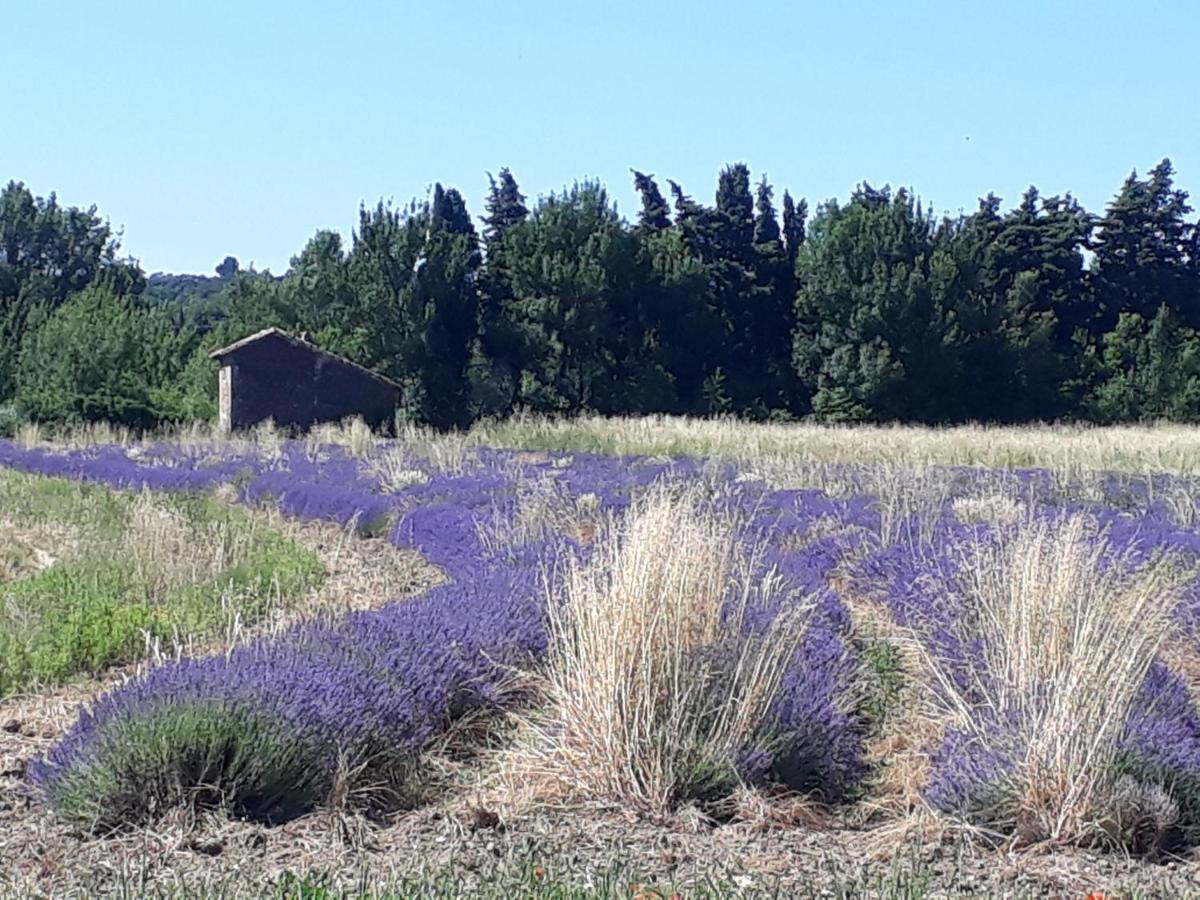 La Petite Maison Dans Les Vignes Chamaret Exteriér fotografie